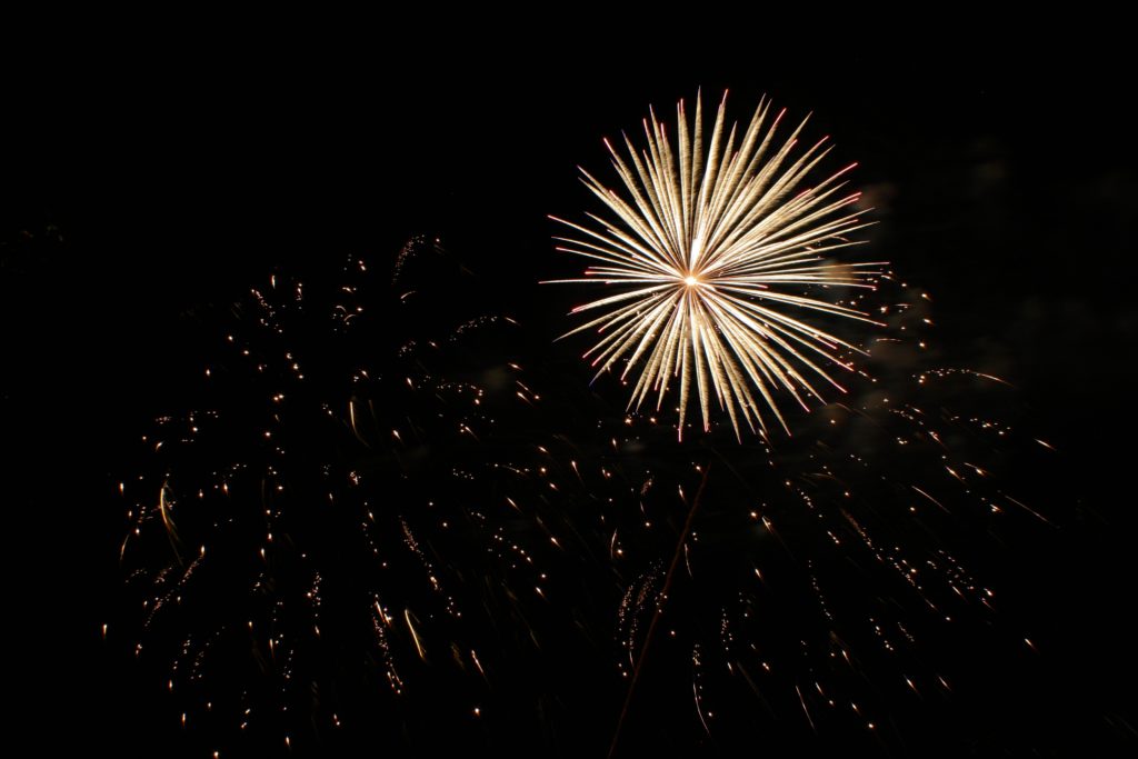 IMG_3898 2024 St. Anthony Villagefest